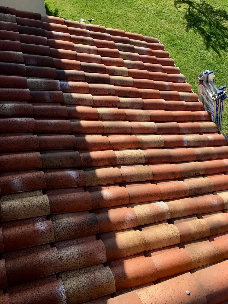 nettoyage de toiture